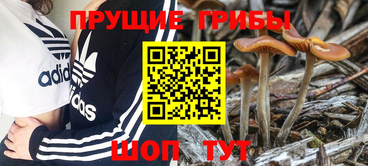 Галлюциногенные грибы мухоморы Минеральные Воды
